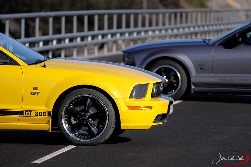 Mustang GT x2
